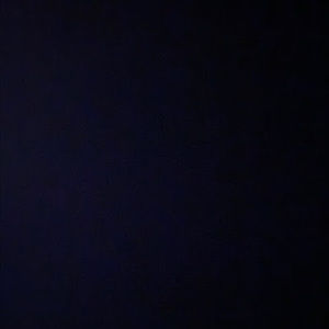 Meet your Posher, Fern